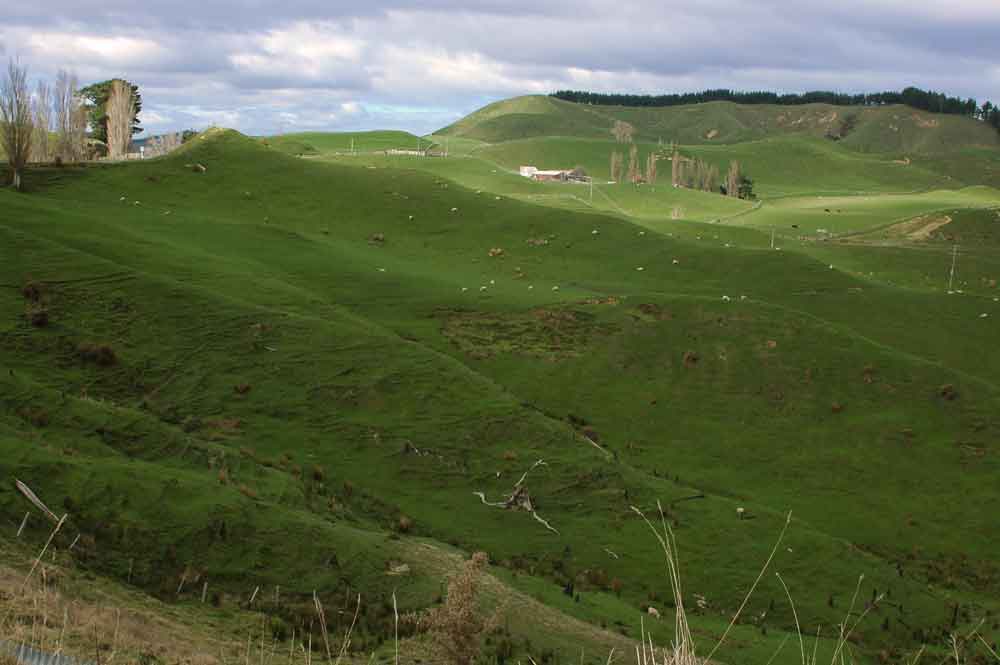 183 - Nueva Zelanda, paisaje